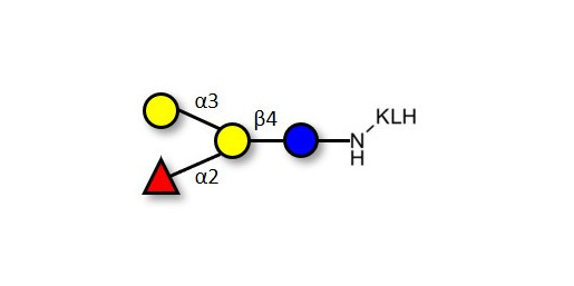 Blood group B antigen tetraose type 6 grafted on KLH