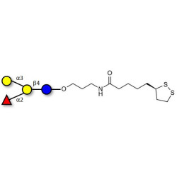 Blood group B antigen tetraose type 6 with cyclic di-thiol (Linker-LIPO A)