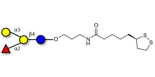 Blood group B antigen tetraose type 6 with cyclic di-thiol (Linker-LIPO A)