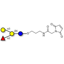 Blood group B antigen tetraose type 6 linked to maleimide (Linker-MAL A)