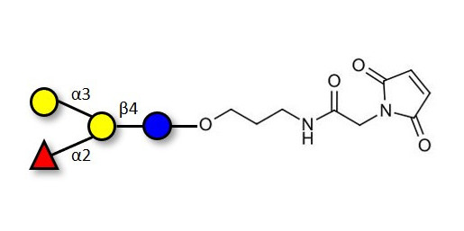 Blood group B antigen tetraose type 6 linked to maleimide (Linker-MAL A)