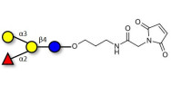 Blood group B antigen...
