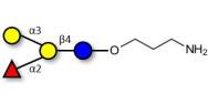 Blood group B antigen...