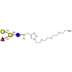 Blood group B antigen tetraose type 6 with free terminal amine (Linker-NH2 B)