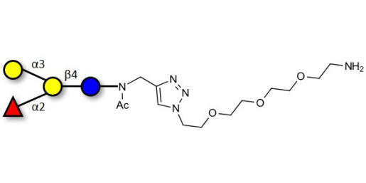 Blood group B antigen tetraose type 6 with free terminal amine (Linker-NH2 B) - GLY038-3-NAc-sp1-NH2