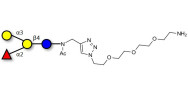 Blood group B antigen...