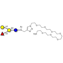 Blood group B antigen tetraose type 6 with free terminal amine (Linker-NH2 C)
