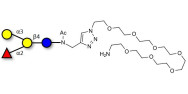 Blood group B antigen...