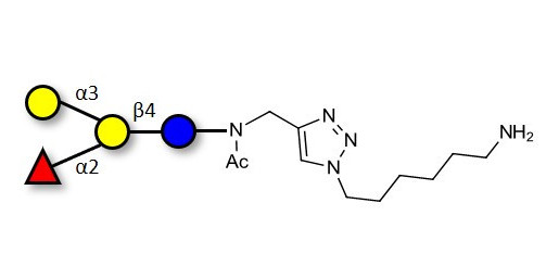 Blood group B antigen tetraose type 6 with free terminal amine (Linker-NH2 D)