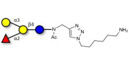 Blood group B antigen...