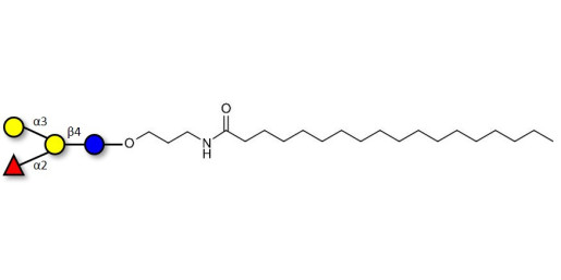 Blood group B antigen tetraose type 6 with stearic chain (Linker-STEA A)