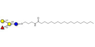 Blood group B antigen...