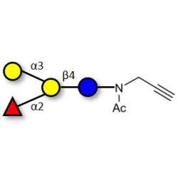 Blood group B antigen tetraose type 6 with terminal alkyne (Linker-CΞCH A)