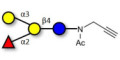 Blood group B antigen tetraose type 6 with terminal alkyne (Linker-CΞCH A) - GLY038-3-NPR