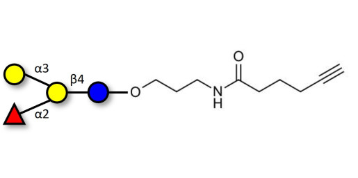 Blood group B antigen tetraose type 6 with terminal alkyne (Linker-CΞCH C)