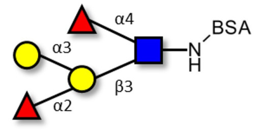 Blood group B Lewis b antigen pentaose type 1 grafted on BSA