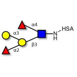 Blood group B Lewis b antigen pentaose type 1 grafted on HSA