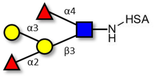 Blood group B Lewis b antigen pentaose type 1 grafted on HSA