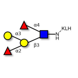 Blood group B Lewis b antigen pentaose type 1 grafted on KLH