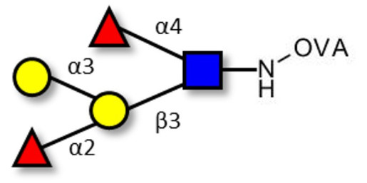 Blood group B Lewis b antigen pentaose type 1 grafted on OVA