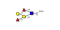 Blood group B Lewis b antigen pentaose type 1 grafted on OVA