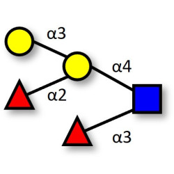 Blood group B Lewis y antigen pentaose type 2 (>85% NMR)