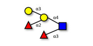 Blood group B Lewis y...
