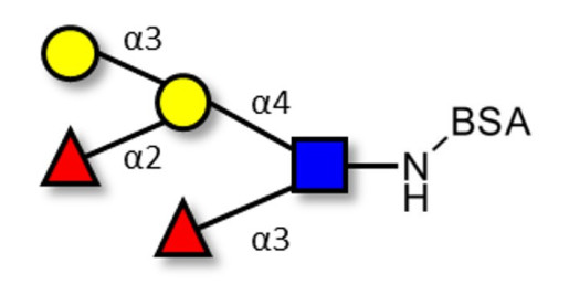 Blood group B Lewis y antigen pentaose type 2 grafted on BSA