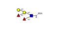 Blood group B Lewis y antigen pentaose type 2 grafted on BSA