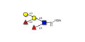 Blood group B Lewis y antigen pentaose type 2 grafted on HSA