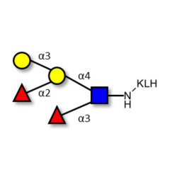 Blood group B Lewis y antigen pentaose type 2 grafted on KLH