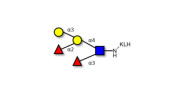 Blood group B Lewis y...