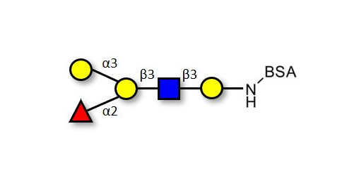 Blood group B antigen pentaose type 1 grafted on BSA
