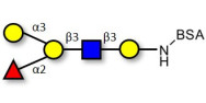 Blood group B antigen...