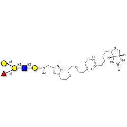 Blood group B antigen pentaose type 1 linked to biotin (Linker-BT A)