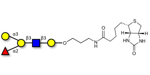Blood group B antigen pentaose type 1 linked to biotin (Linker-BT B)