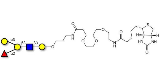 Blood group B antigen pentaose type 1 linked to biotin (Linker-BT C)