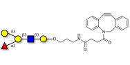 Blood group B antigen...