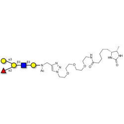 Blood group B antigen pentaose type 1 linked to desthiobiotin (Linker-DBT-A)