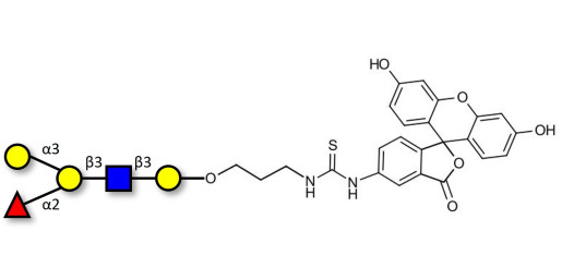 Blood group B antigen pentaose type 1 linked to fluorescein (Linker-FLUO A)