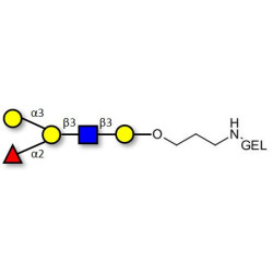 Blood group B antigen pentaose type 1 grafted on gel for affinity chromatography (Linker-GEL B)