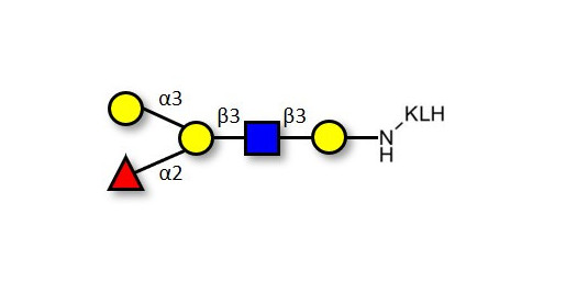 Blood group B antigen pentaose type 1 grafted on KLH
