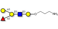 Blood group B antigen...