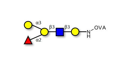 Blood group B antigen pentaose type 1 grafted on OVA