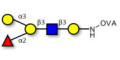 Blood group B antigen pentaose type 1 grafted on OVA