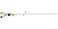 Blood group B antigen...