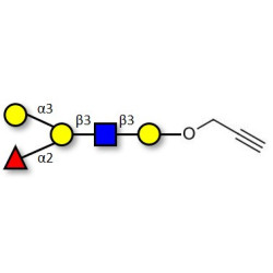 Blood group B antigen pentaose type 1 with terminal alkyne (Linker-CΞCH B)