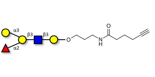 Blood group B antigen pentaose type 1 with terminal alkyne (Linker-CΞCH C)