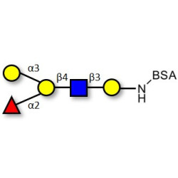 Blood group B antigen pentaose type 2 grafted on BSA