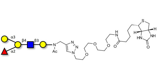 Blood group B antigen pentaose type 2 linked to biotin (Linker-BT A)